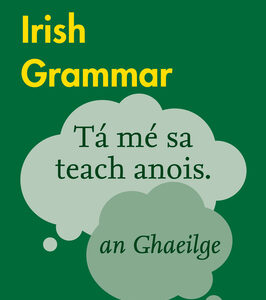 Irish Grammar [Paperback]